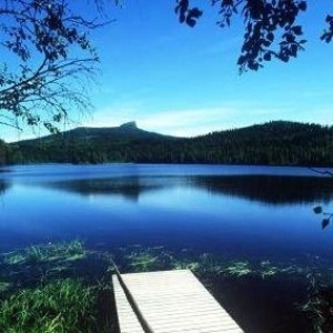 五年生物燃料分析任务从北欧国家开始