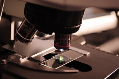 What is Microscopic Polymer Characterisation?