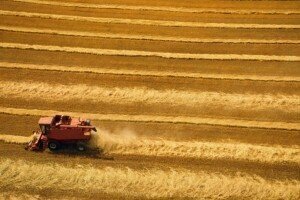 将沙中联盟在全球石化催化转变景观?